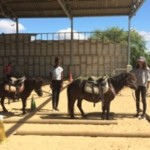 les enfants font de l'équitation en colonie de vacances